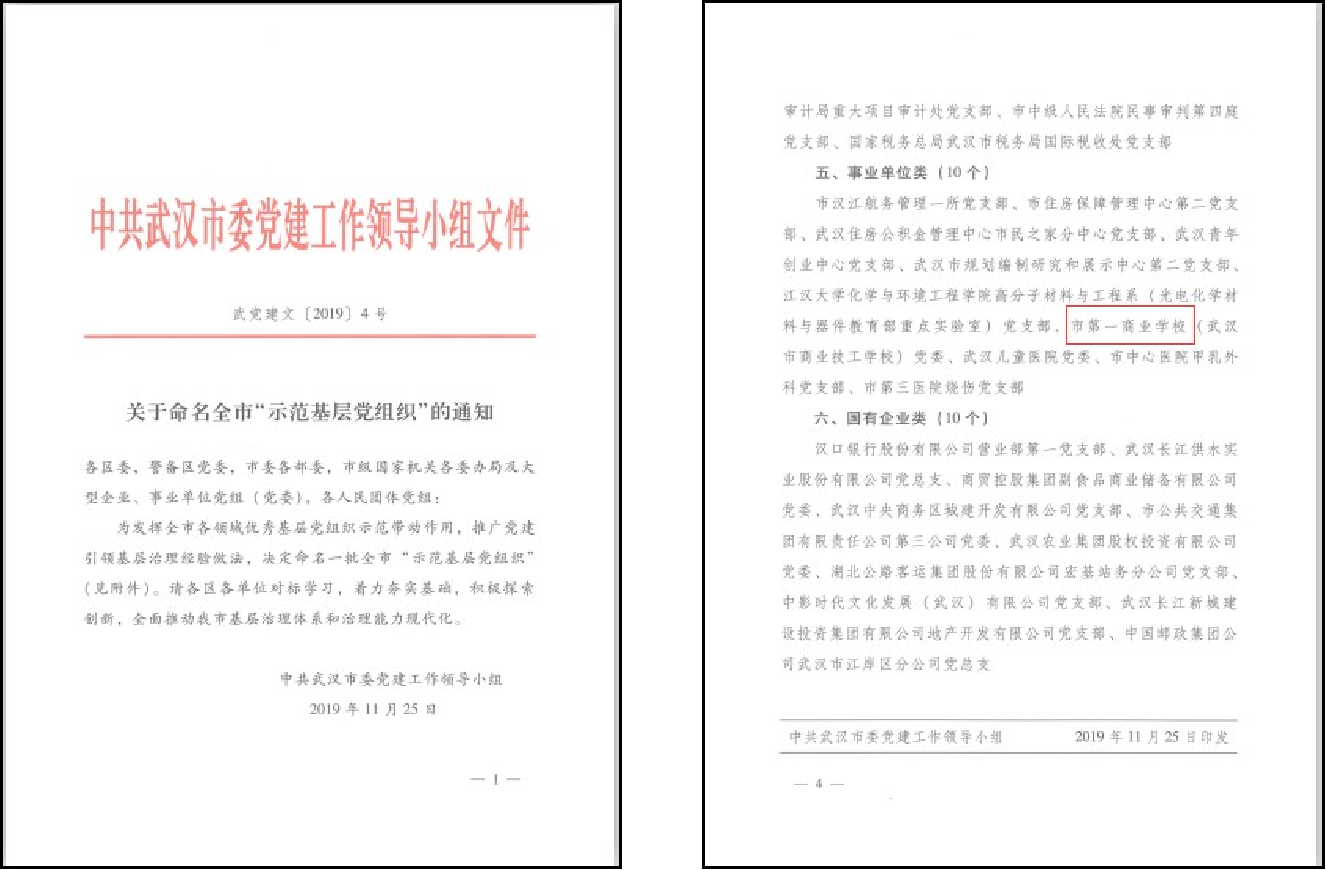 武汉市示范基层党组织